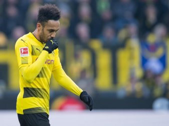 Stand bei Dortmund wieder in der Startelf: Der abwanderungswillige Pierre-Emerick Aubameyang. Foto: Guido Kirchner Stand bei Dortmund wieder in der Startelf: Der abwanderungswillige Pierre-Emerick Aubameyang. Foto: Guido Kirchner