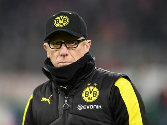 Blickt nach vorn: Peter Stöger Blickt nach vorn: Peter Stöger