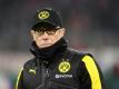 Blickt nach vorn: Peter Stöger