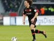 Julian Baumgartlinger fehlt Leverkusen in Freiburg