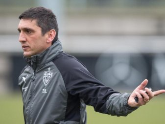 VfB-Coach Tayfun Korkut will sich bei seiner Arbeit nicht von Fan-Kritik beirren lassen. Foto: Sebastian Gollnow VfB-Coach Tayfun Korkut will sich bei seiner Arbeit nicht von Fan-Kritik beirren lassen. Foto: Sebastian Gollnow