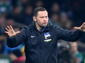 Hertha-Coach Pal Dardai gibt seinem Keeper Rune Jarstein eine Stammplatzgarantie. Foto: Carmen Jaspersen