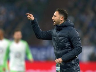 Outet sich als Fan von Bayern-Trainerkollege Jupp Heynckes: Schalke-Coach Domenico Tedesco. Foto: Ina Fassbender