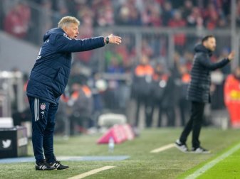 Co-Trainer Peter Hermann vertrat beim FC Bayern München Coach Jupp Heynckes auf dem Chefposten. Foto: Matthias Balk Co-Trainer Peter Hermann vertrat beim FC Bayern München Coach Jupp Heynckes auf dem Chefposten. Foto: Matthias Balk