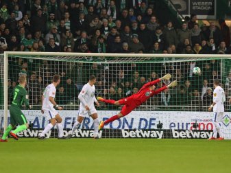 Florian Kainz führte Werder zum Sieg über Wolfsburg Florian Kainz führte Werder zum Sieg über Wolfsburg