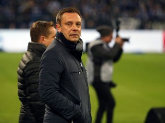 Soll weiterhin bei 96 an der Linie stehen: Breitenreiter Soll weiterhin bei 96 an der Linie stehen: Breitenreiter