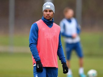 Droht 1899 Hoffenheim beim Gastspiel auf Schalke auszufallen: Nationalspieler Serge Gnabry. Foto: Uwe Anspach Droht 1899 Hoffenheim beim Gastspiel auf Schalke auszufallen: Nationalspieler Serge Gnabry. Foto: Uwe Anspach