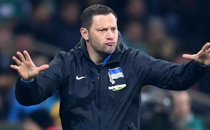 Herthas Trainer Pal Dardai erwartet kämpfende Mainzer im Olympiastadion. Foto: Carmen Jaspersen