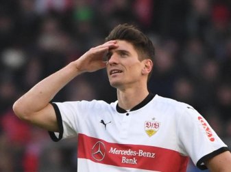 Hat die WM in Russland fest im Blick: VfB-Angreifer Mario Gomez. Foto: Marijan Murat Hat die WM in Russland fest im Blick: VfB-Angreifer Mario Gomez. Foto: Marijan Murat