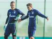 Fallen kurzfristig aus: Fährmann (l.) und Goretzka