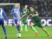 Werder Thomas Delaney (r) freut sich auf das Nord-Derby. Foto: Carmen Jaspersen