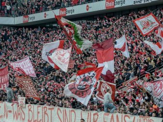 Zieler wurde von der Kölner Südkurve beleidigt Zieler wurde von der Kölner Südkurve beleidigt