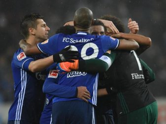 Die Schalker Profis feiern nach dem Spiel in Mainz den 1:0-Sieg. Foto: Arne Dedert Die Schalker Profis feiern nach dem Spiel in Mainz den 1:0-Sieg. Foto: Arne Dedert