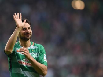 Claudio Pizarro hat mehrere Spielzeiten für Werder Bremen gespielt. Der Verein will nun ehemalige Profis für den Nachwuchs einspannen. Foto: Carmen Jaspersen Claudio Pizarro hat mehrere Spielzeiten für Werder Bremen gespielt. Der Verein will nun ehemalige Profis für den Nachwuchs einspannen. Foto: Carmen Jaspersen
