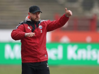 Paderborn und Trainer Baumgart bezwingen Zwickau 2:0