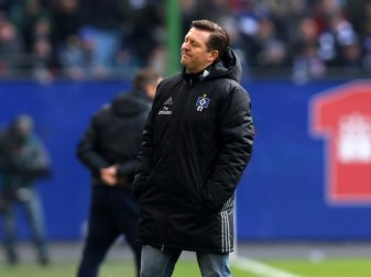 Trainer Titz und der HSV verlieren gegen Hertha Trainer Titz und der HSV verlieren gegen Hertha
