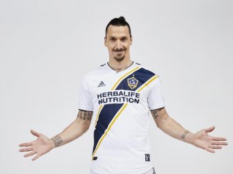 Geht künftig für die Los Angeles Galaxy in den USA auf Torejagd: Zlatan Ibrahimovic. Foto: Jon Shard Geht künftig für die Los Angeles Galaxy in den USA auf Torejagd: Zlatan Ibrahimovic. Foto: Jon Shard