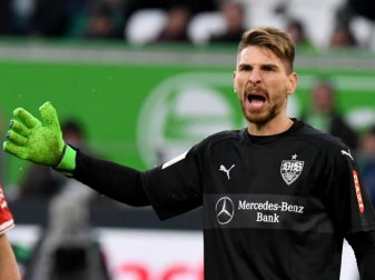 Beim Spiel gegen den FC Köln war Stuttgarts Torhüter Ron-Robert Zieler massiv beleidigt worden. Foto: Peter Steffen Beim Spiel gegen den FC Köln war Stuttgarts Torhüter Ron-Robert Zieler massiv beleidigt worden. Foto: Peter Steffen