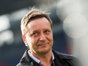 Steht bei Hannover 96 vor der Beförderung: Sportchef Horst Heldt Foto: Swen Pförtner Steht bei Hannover 96 vor der Beförderung: Sportchef Horst Heldt Foto: Swen Pförtner