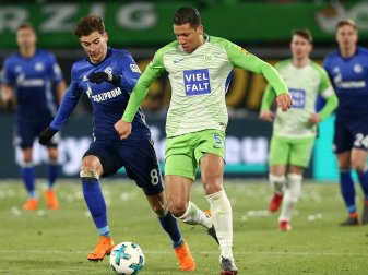 Bruma fehlt den Wölfen mit einer Viruserkrankung Bruma fehlt den Wölfen mit einer Viruserkrankung