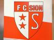 Der FC Sion hat gegen das Financial Fairplay verstoßen