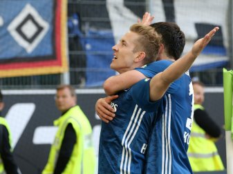 Jede Menge Hoffnung wieder beim HSV Jede Menge Hoffnung wieder beim HSV