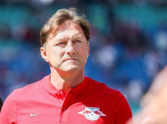 Cheftrainer Ralph Hasenhüttl fühlt sich in Leipzig wohl und will seinen bis 2019 laufenden Vertrag erfüllen. Foto: Jan Woitas Cheftrainer Ralph Hasenhüttl fühlt sich in Leipzig wohl und will seinen bis 2019 laufenden Vertrag erfüllen. Foto: Jan Woitas