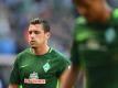 Der Transfer von Werder-Kapitän Zlatko Junuzovic nach Salzburg soll angeblich perfekt sein. Foto: Carmen Jaspersen