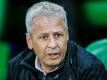 Favre soll wohl der neue Trainer beim BVB werden