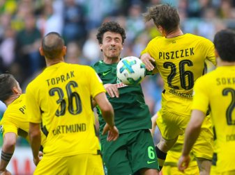 Delaney (Mi.) bald in Schwarz-Gelb?