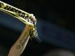 Borussia Dortmund will unbedingt in die Champions League. Foto: Ina Fassbender