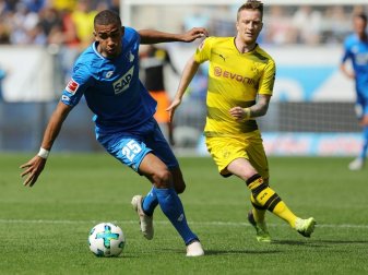 Der BVB wird nächste Saison in der Königsklasse spielen Der BVB wird nächste Saison in der Königsklasse spielen
