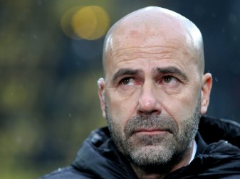 Peter Bosz musste nach acht sieglosen Spielen gehen Peter Bosz musste nach acht sieglosen Spielen gehen