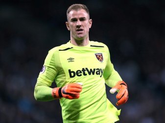 Torhüter Hart fährt nicht mit zur WM nach Russland Torhüter Hart fährt nicht mit zur WM nach Russland