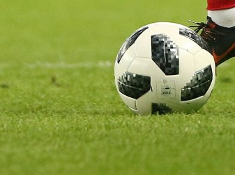 Die DFL hat allen 36 Vereinen die Lizenz erteilt Die DFL hat allen 36 Vereinen die Lizenz erteilt