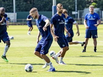 Beim HSV wieder vereint: Aaron Hunt (vorne) und Neu-Coach Dieter Hecking (hinten). Foto: Axel Heimken Beim HSV wieder vereint: Aaron Hunt (vorne) und Neu-Coach Dieter Hecking (hinten). Foto: Axel Heimken