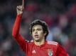 Wohl für 126 Millionen zu Atletico: Joao Felix