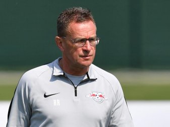 Kümmert sich künftig nicht nur um RB Leipzig: Ralf Rangnick. Foto: Hendrik Schmidt Kümmert sich künftig nicht nur um RB Leipzig: Ralf Rangnick. Foto: Hendrik Schmidt