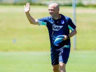Alfred Schreuder ist der neue Trainer der TSG 1899 Hoffenheim. Foto: Uwe Anspach Alfred Schreuder ist der neue Trainer der TSG 1899 Hoffenheim. Foto: Uwe Anspach