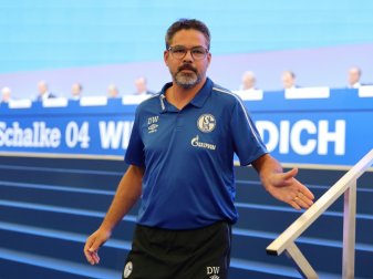 Trainingsauftakt bei Schalke 04 mit David Wagner Trainingsauftakt bei Schalke 04 mit David Wagner