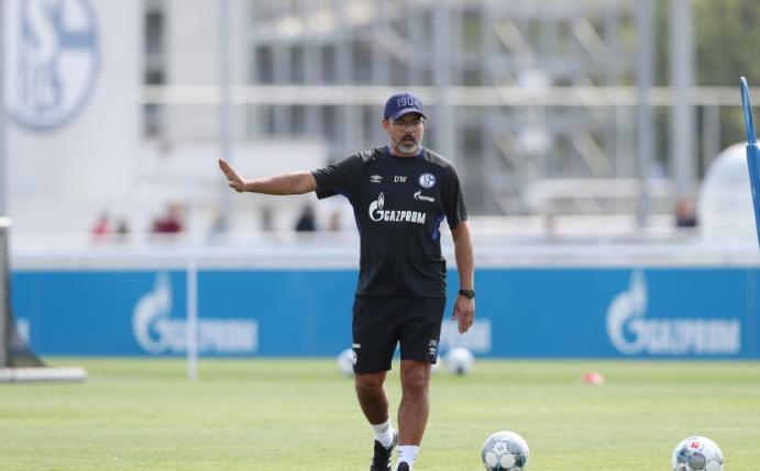 Wagner testet mit Schalke gegen Norwich City