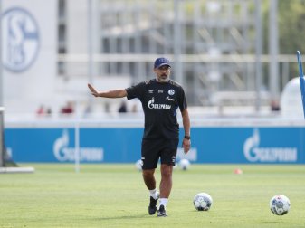 Wagner testet mit Schalke gegen Norwich City Wagner testet mit Schalke gegen Norwich City