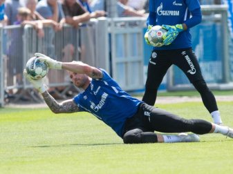 Hechtet wohl bald in England nach Bällen: Schalkes Ralf Fährmann. Foto: Bernd Thissen Hechtet wohl bald in England nach Bällen: Schalkes Ralf Fährmann. Foto: Bernd Thissen