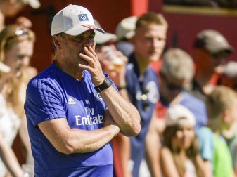 HSV-Coach Dieter Hecking wird den Kapitän von der Mannschaft wählen lassen. Foto: Axel Heimken HSV-Coach Dieter Hecking wird den Kapitän von der Mannschaft wählen lassen. Foto: Axel Heimken