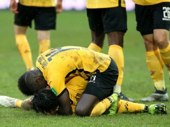 Dynamo Dresden wird in Zwickau gegen Dassendorf spielen Dynamo Dresden wird in Zwickau gegen Dassendorf spielen