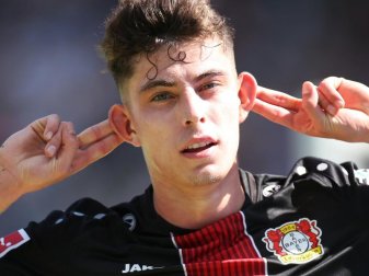 Wieder im Training: Leverkusens Kai Havertz. Foto: Andreas Gora Wieder im Training: Leverkusens Kai Havertz. Foto: Andreas Gora