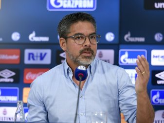 David Wagner setzt bei Schalke auf Zusammenhalt David Wagner setzt bei Schalke auf Zusammenhalt