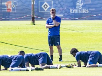 Betrachtet den Job als Trainer beim Hamburger SV als eine Herausforderung: Dieter Hecking (M). Foto: Axel Heimken Betrachtet den Job als Trainer beim Hamburger SV als eine Herausforderung: Dieter Hecking (M). Foto: Axel Heimken