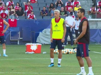 Platinblond: Mesut Özil Platinblond: Mesut Özil