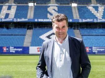 Soll die volle Unterstützung der HSV-Bosse erhalten: Dieter Hecking. Foto: Markus Scholz Soll die volle Unterstützung der HSV-Bosse erhalten: Dieter Hecking. Foto: Markus Scholz